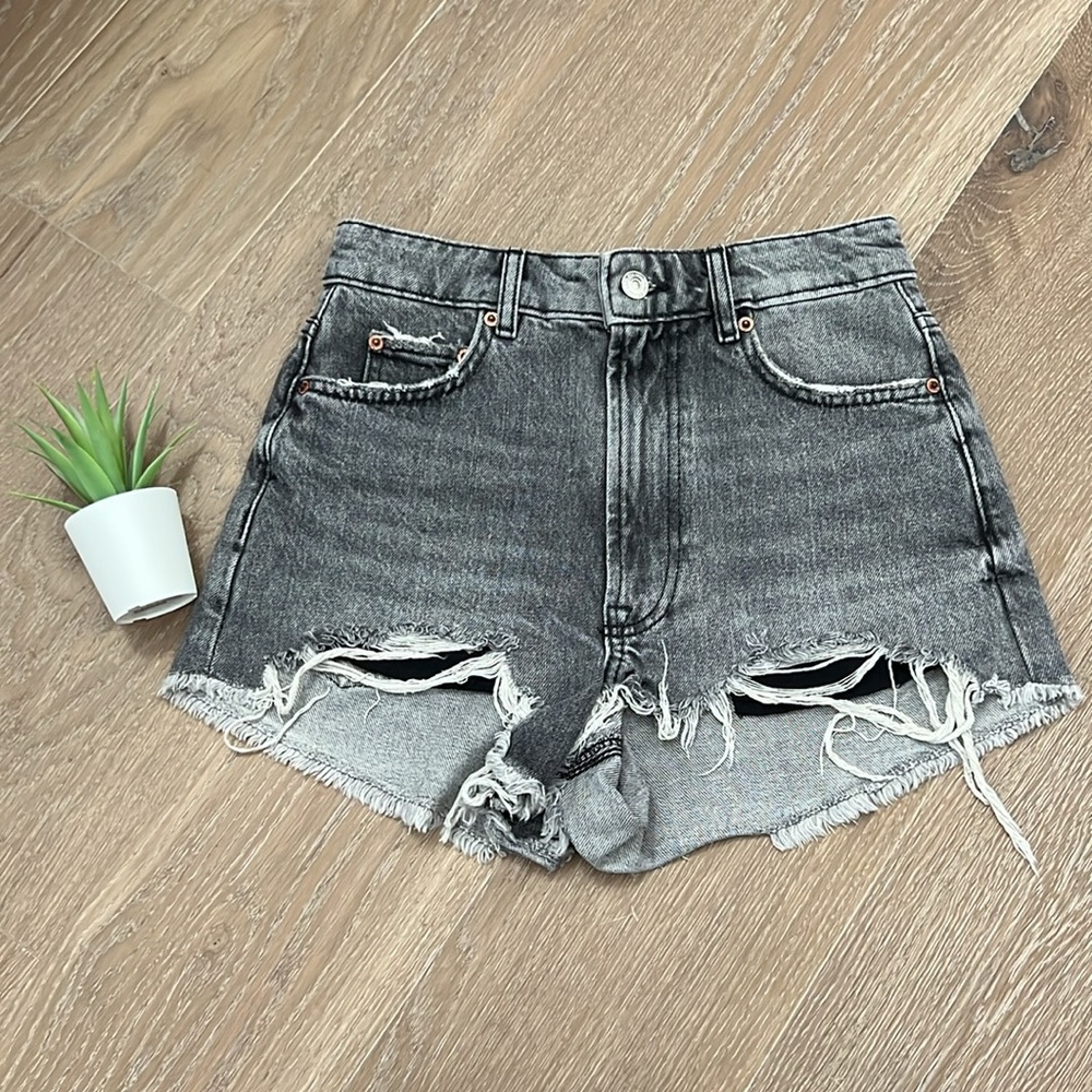 Zara Jean Shorts